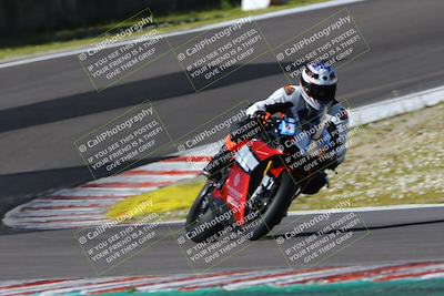 media/Mar-17-2024-Fastrack Riders (Sun) [[c7d6f8c14c]]/Level 3/Turn 6/